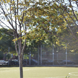 School-yard-3